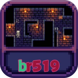 br519
